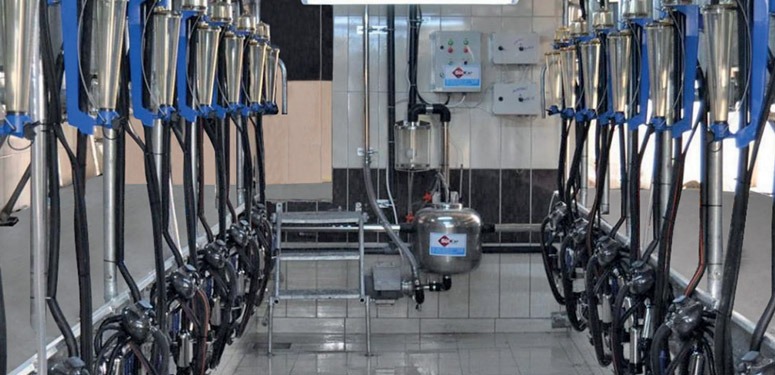 You are currently viewing Sütkar Milking Parlor