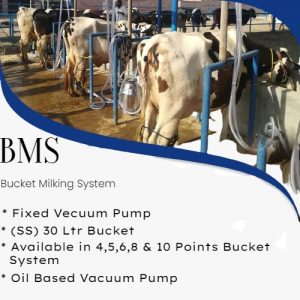 Read more about the article Bucket System